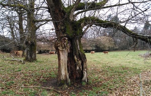 MOISSANNES J 5 mars 2026