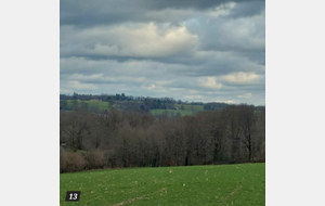 ROYERE : Rando nature  J 12 mars 2026