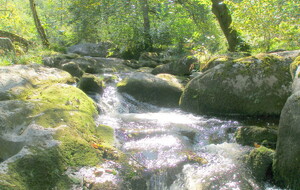 GR MONTS ET BARRAGES : CHEISSOUX / SAINT JULIEN LE PETIT  J 16 avril