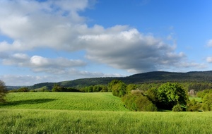 MASBARAUD-MERIGNAT Vers les bois de Chassagnes J 28 mai 2026
