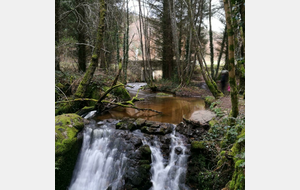 Bourganeuf  Le Bois des Boeufs Jeudi 4 juin 2026