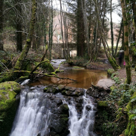 Bourganeuf  Le Bois des Boeufs Jeudi 4 juin 2026