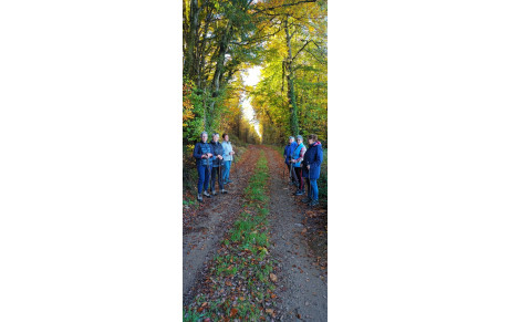 7 Randonnées du matin