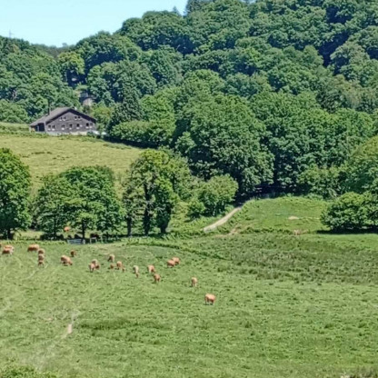 GR Monts et Barrages St Julien / Peyrat J 21 mai 2026
