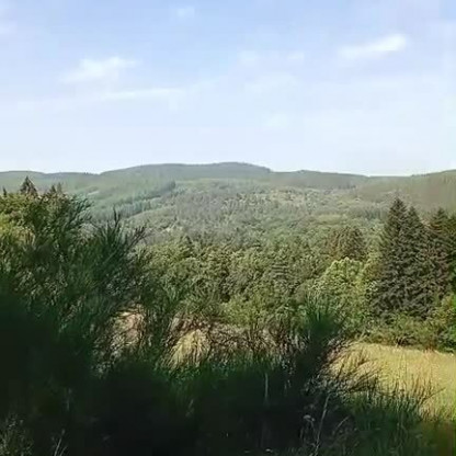 MP4